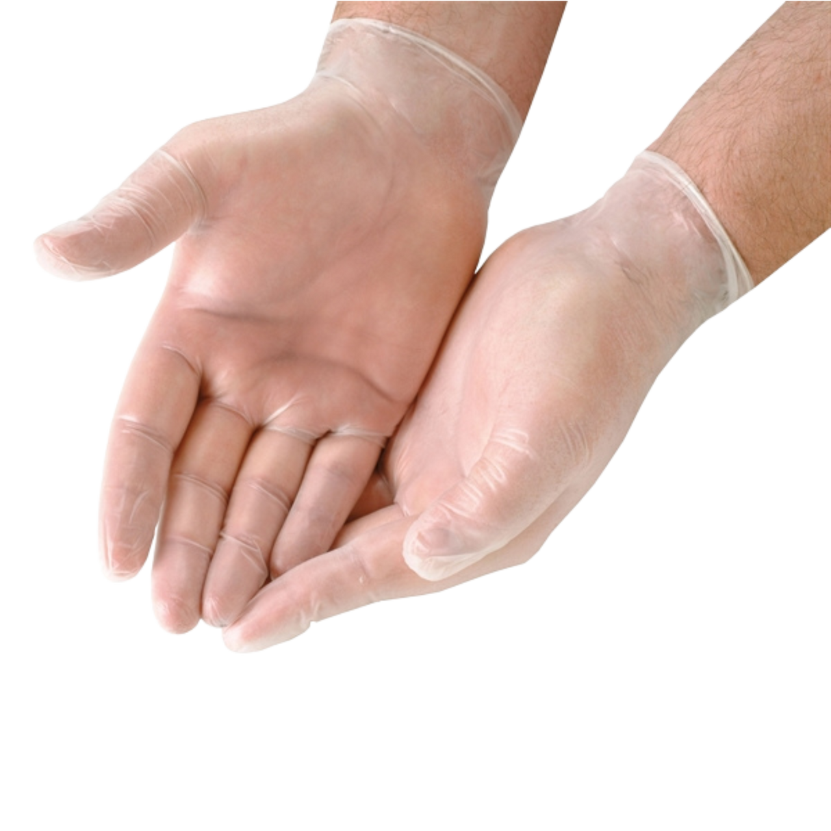 Medium Clear Vinyl Gloves