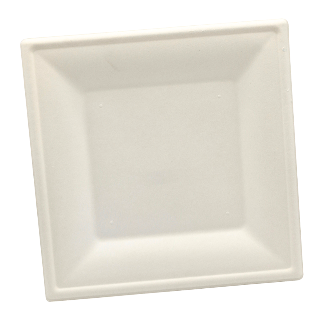 10" Square Sugarcane Plate