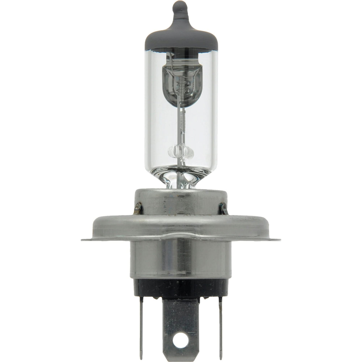 6419 Basic Automotive Bulb, Halogen, 62 W/68 W, Off White