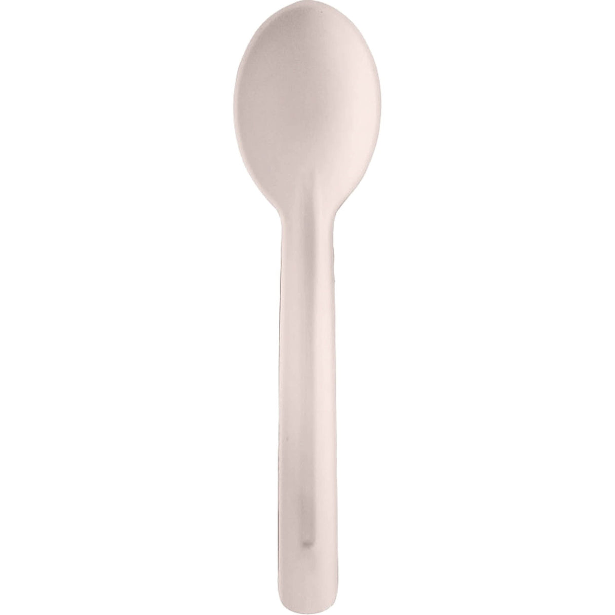 Bagasse Compostable Spoons