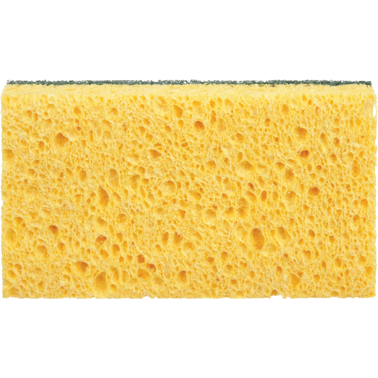 Utility Sponges, Cellulose, 6" W x 3-1/2" L
