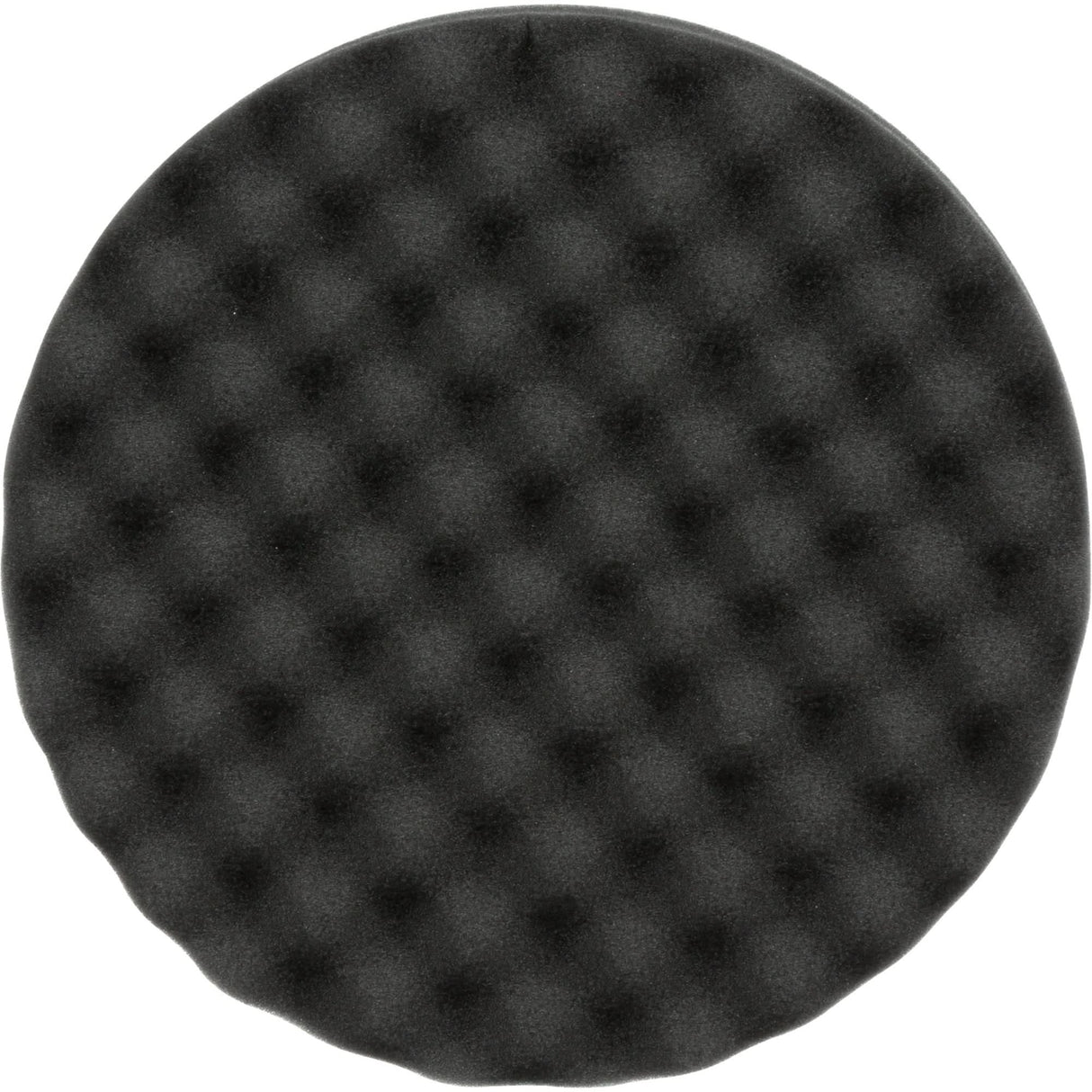 Polishing Pad, 8" dia., Foam