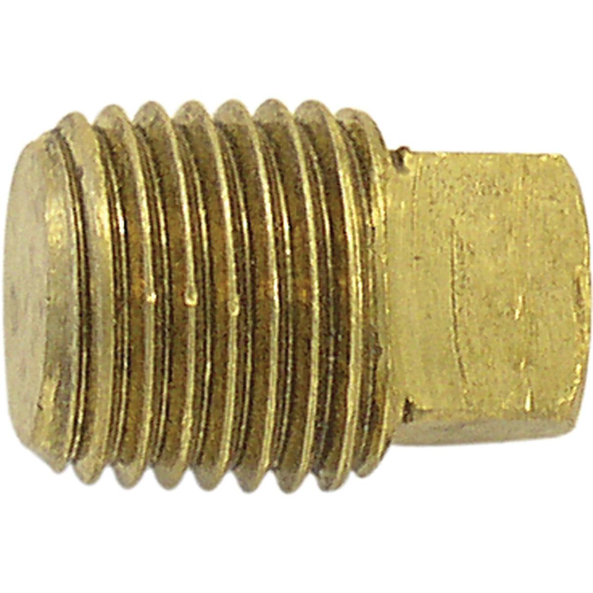 Pipe Plugs (Square Head), 1/2" Dia., Brass