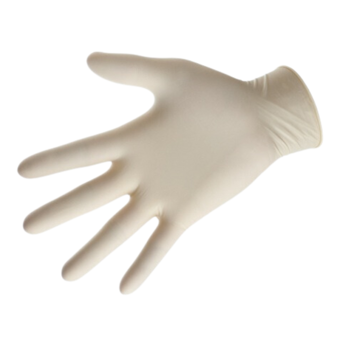 Large Powder Free Latex Gloves