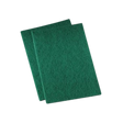 6" x 9" All-Purpose Scouring Pad
