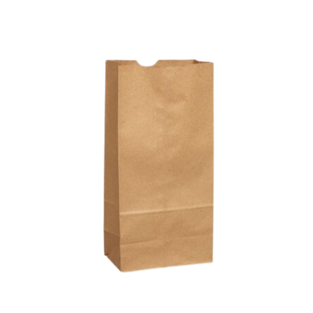 5 lb Capacity Brown Paper Retail Bags (500-Count)