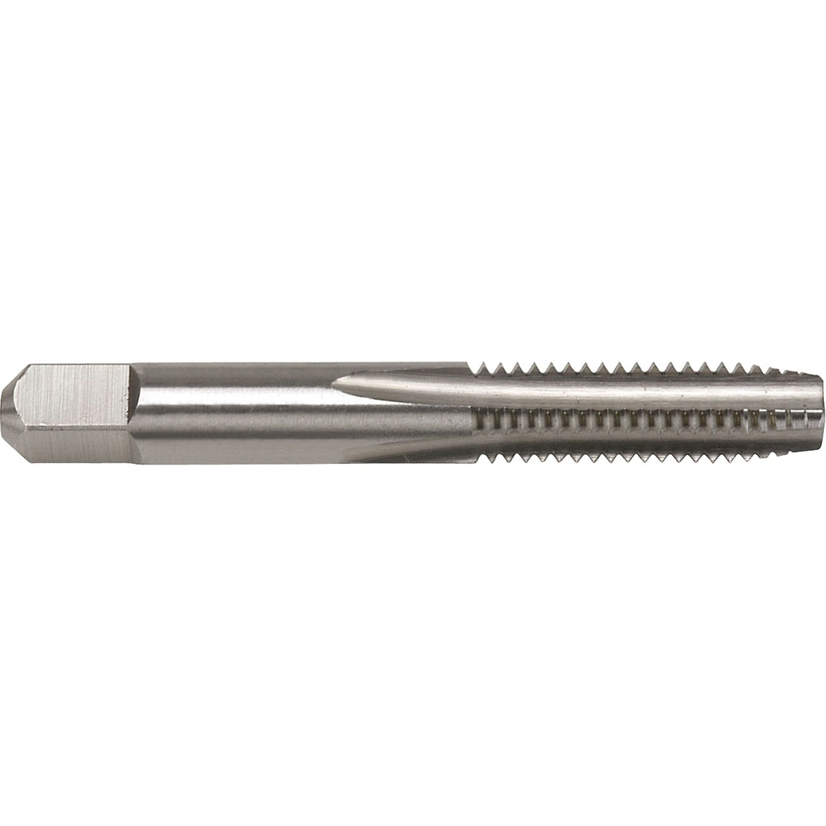 Warwick Ground Thread Hand Tap, High Speed Steel, M24x3 Thread