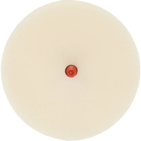 Scotch-Brite™ Moulding Adhesive & Stripe Removal Disc, 7501, 4" Dia.