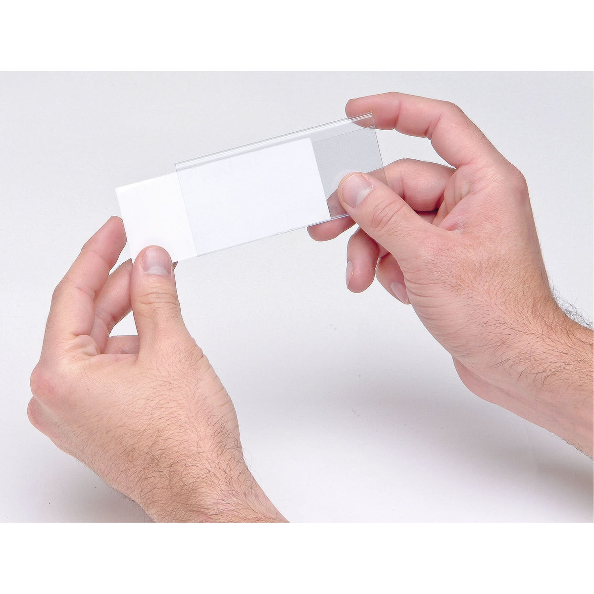 Label Holder