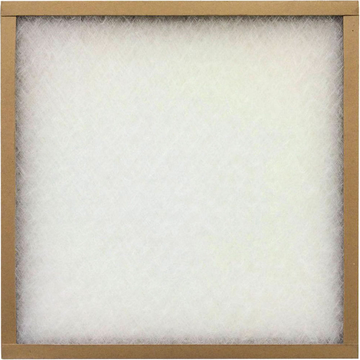 Poly Throw-Away Filter, Box, 20" W x 1" D x 25" H