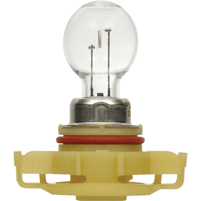 5202 Basic Fog Light Bulb, Halogen, 24 W, Off White