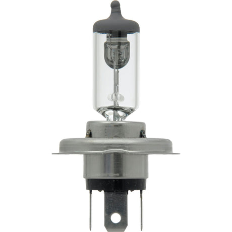 64196 Basic Automotive Bulb, Halogen, 70 W/75 W, Off White