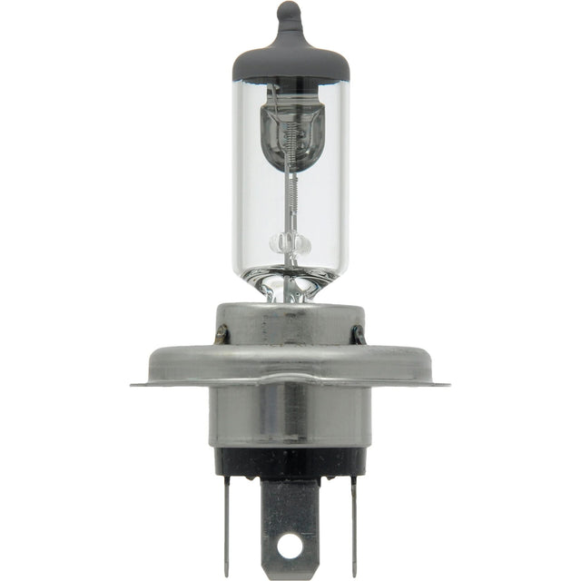 64196 Basic Automotive Bulb, Halogen, 70 W/75 W, Off White