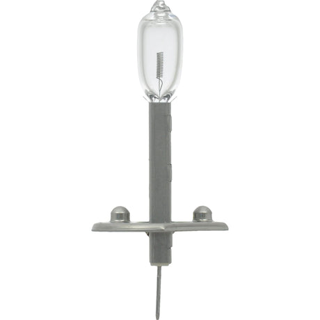 H1 Basic Fog Light Bulb, Halogen, 65 W, Off White