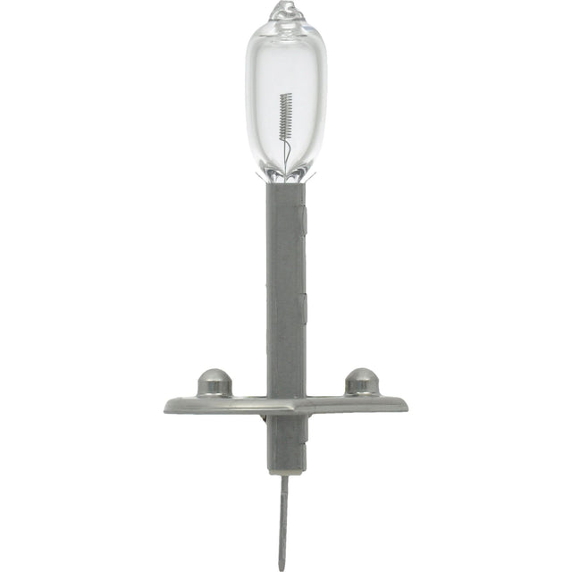 H1 Basic Fog Light Bulb, Halogen, 65 W, Off White