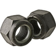 Hex Nut, 5/8" Dia., Black Oxide, Coarse