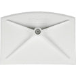 Food Hygiene Scraper, White, 8" W x 11-1/4" L