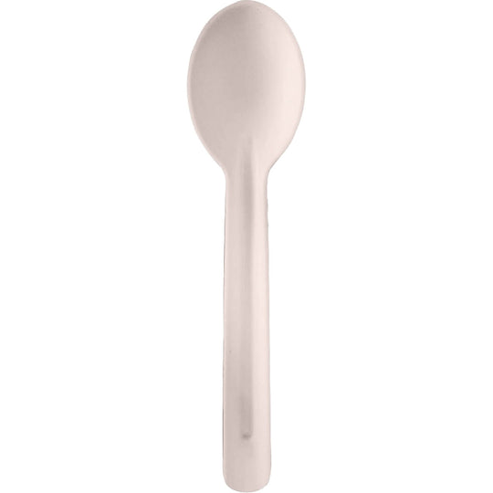 Disposable Tableware