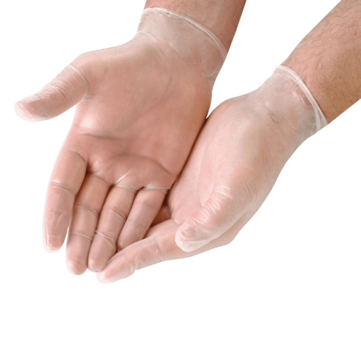 Large Clear Vinyl Gloves