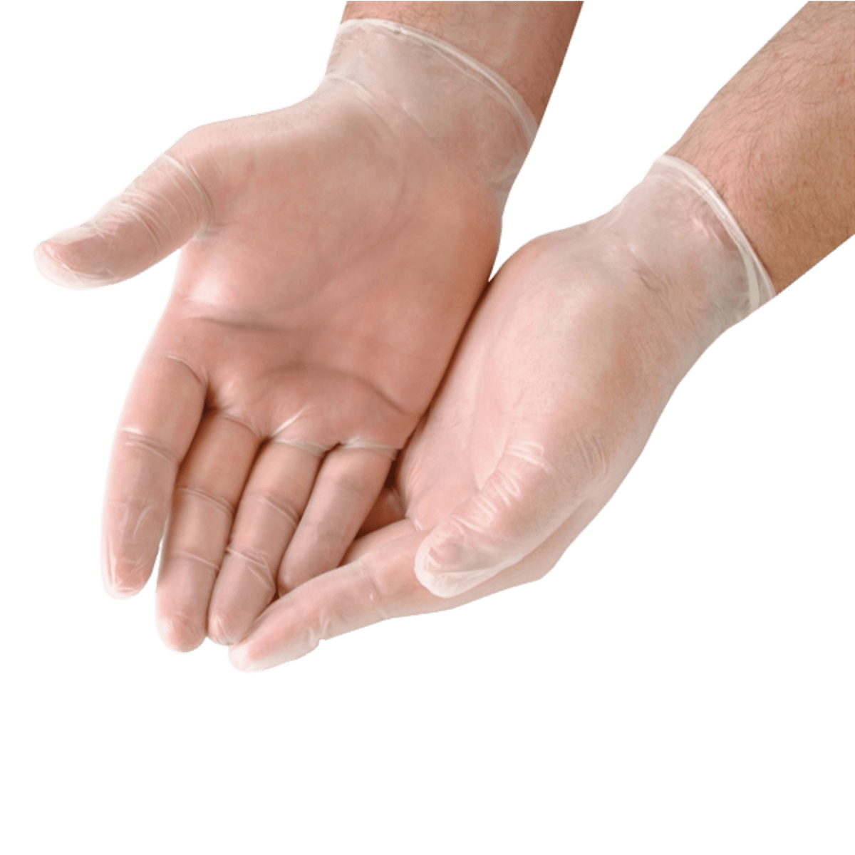 Medium Clear Vinyl Gloves