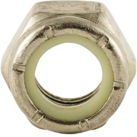 Nylon Lock Nut, 5/16" Dia., Stainless Steel, Fine