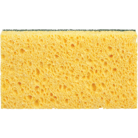 Utility Sponges, Cellulose, 6" W x 3-1/2" L