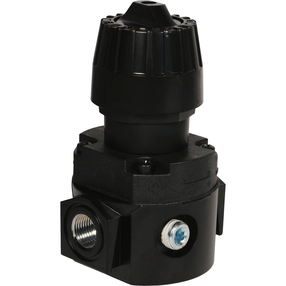Wilkerson Compact Regulator R16, 1/4" NPT, 300 psi Max. PSI, Standard