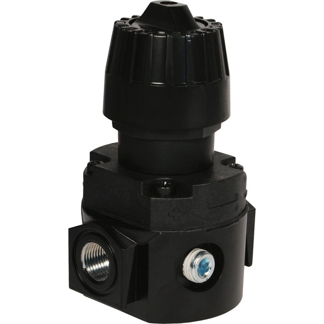 Wilkerson Compact Regulator R16, 1/4" NPT, 300 psi Max. PSI, Standard