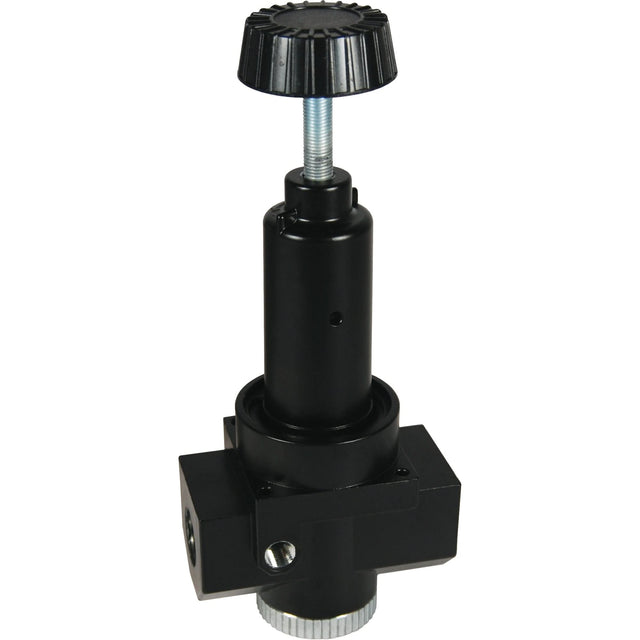 Wilkerson High Flow Regulator R30, 3/4" NPT, 300 psi Max. PSI, Standard