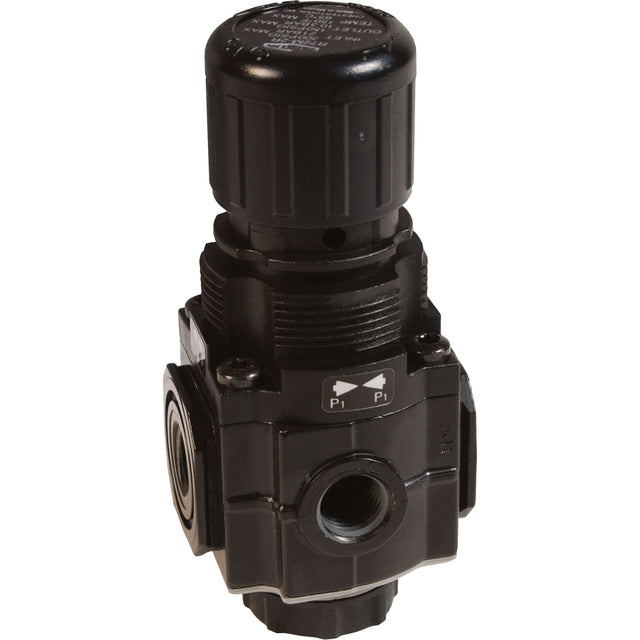 Series 1 Manifold Regulator, 1/4" NPT, 150 PSI Max. PSI, Standard
