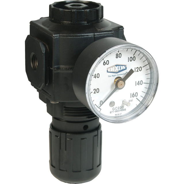 Series 1 Compact Regulator, 1/2" NPT, 150 PSI Max. PSI, Standard