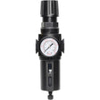 Manual Drain Filter/Regulator with Standard Bowl Modulair 300, 1/4" NPT, 150 PSI, 5.1 fl. oz. Capacity