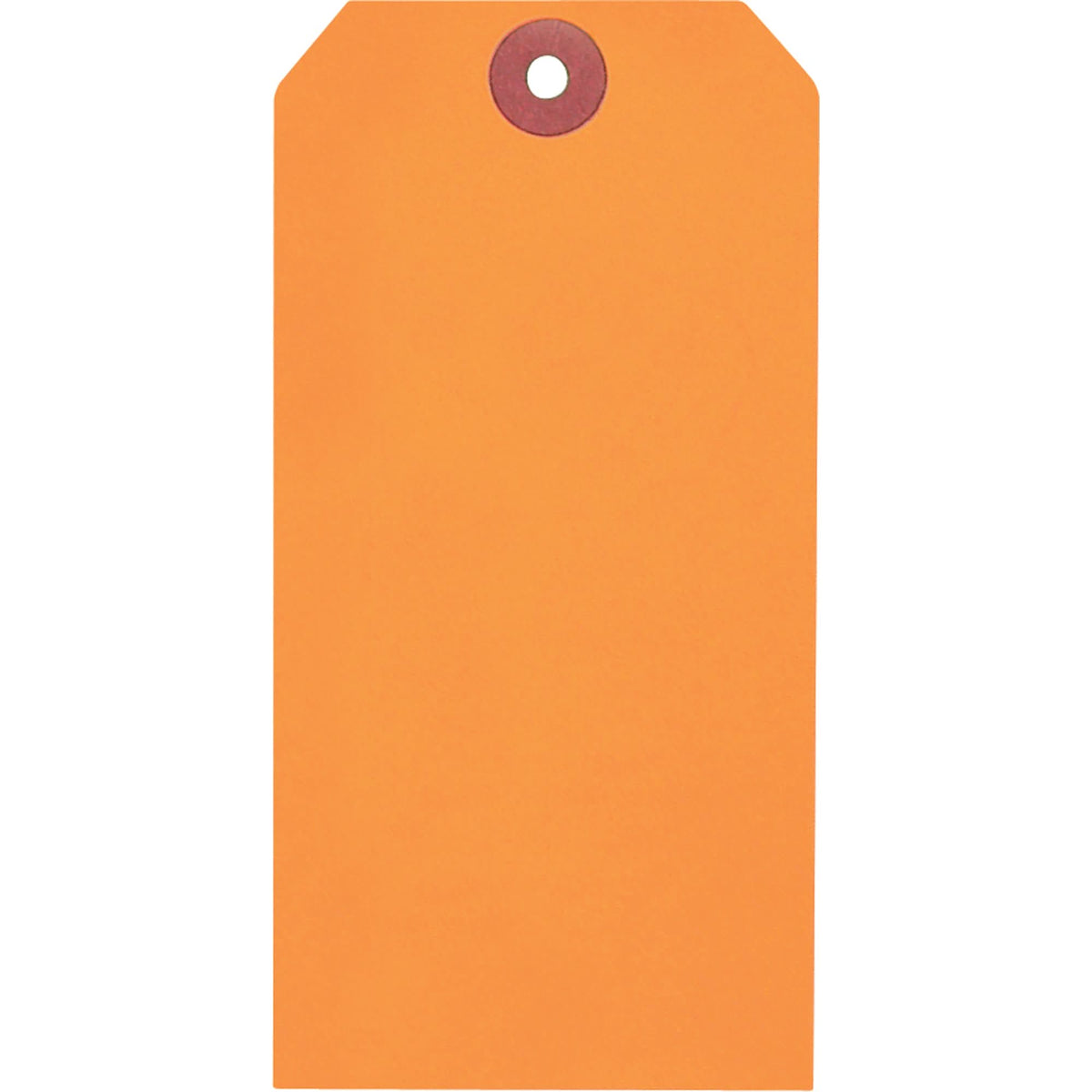 Coloured Blank Tags, Paper, 3-1/8" W x 6-1/4" H