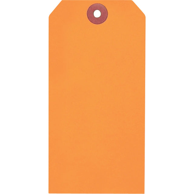 Coloured Blank Tags, Paper, 3-1/8" W x 6-1/4" H