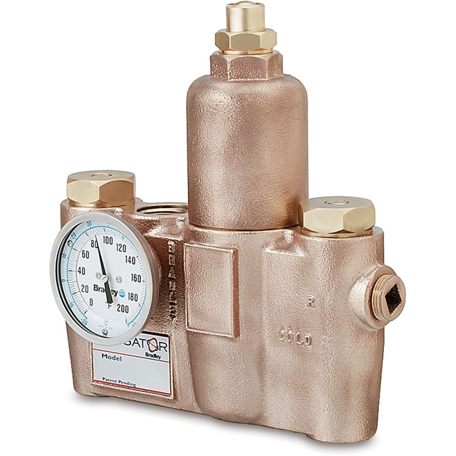 Thermostatic Mixing Valves, 19.5 GPM