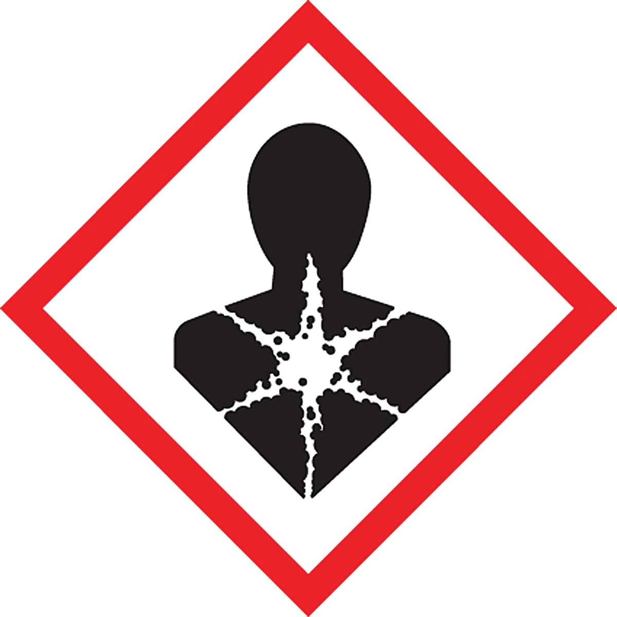 GHS Pictogram Labels, Vinyl, Sheet, 4" L x 4" W