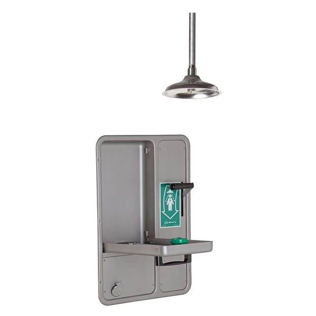 Eye/Face Wash and Shower, Ceiling-Mount