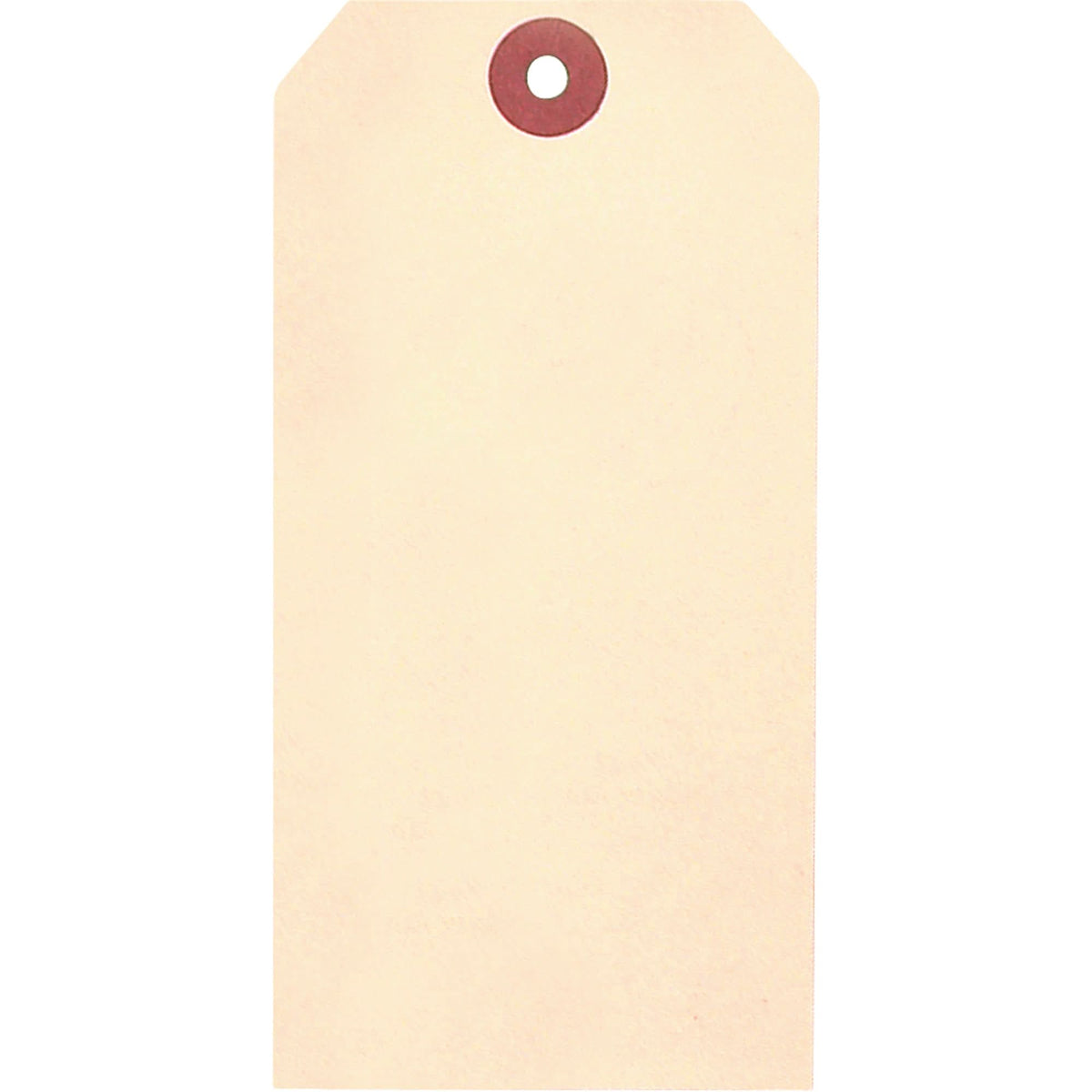 Manila Blank Tags, Cardstock, 1-7/8" W x 3-3/4" H