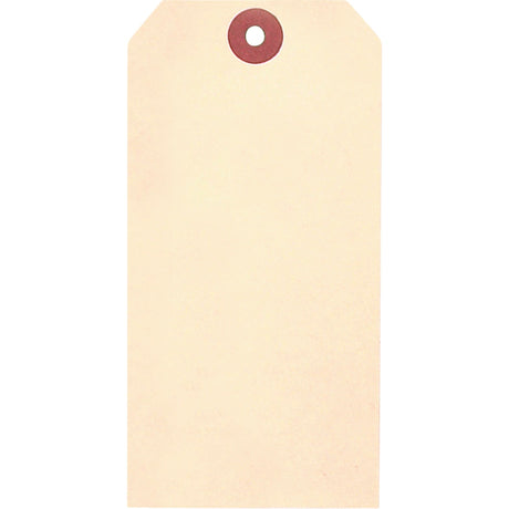 Manila Blank Tags, Cardstock, 3-1/8" W x 6-1/4" H