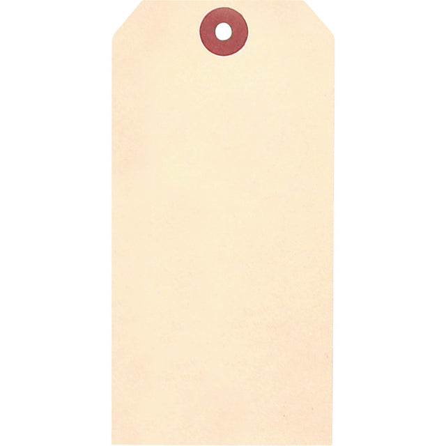 Manila Blank Tags, Cardstock, 3-1/8" W x 6-1/4" H