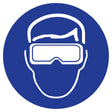 Right to Know Pictogram Labels - Safety Goggles, Vinyl, Sheet, 1-1/4" L x 1-1/2" W