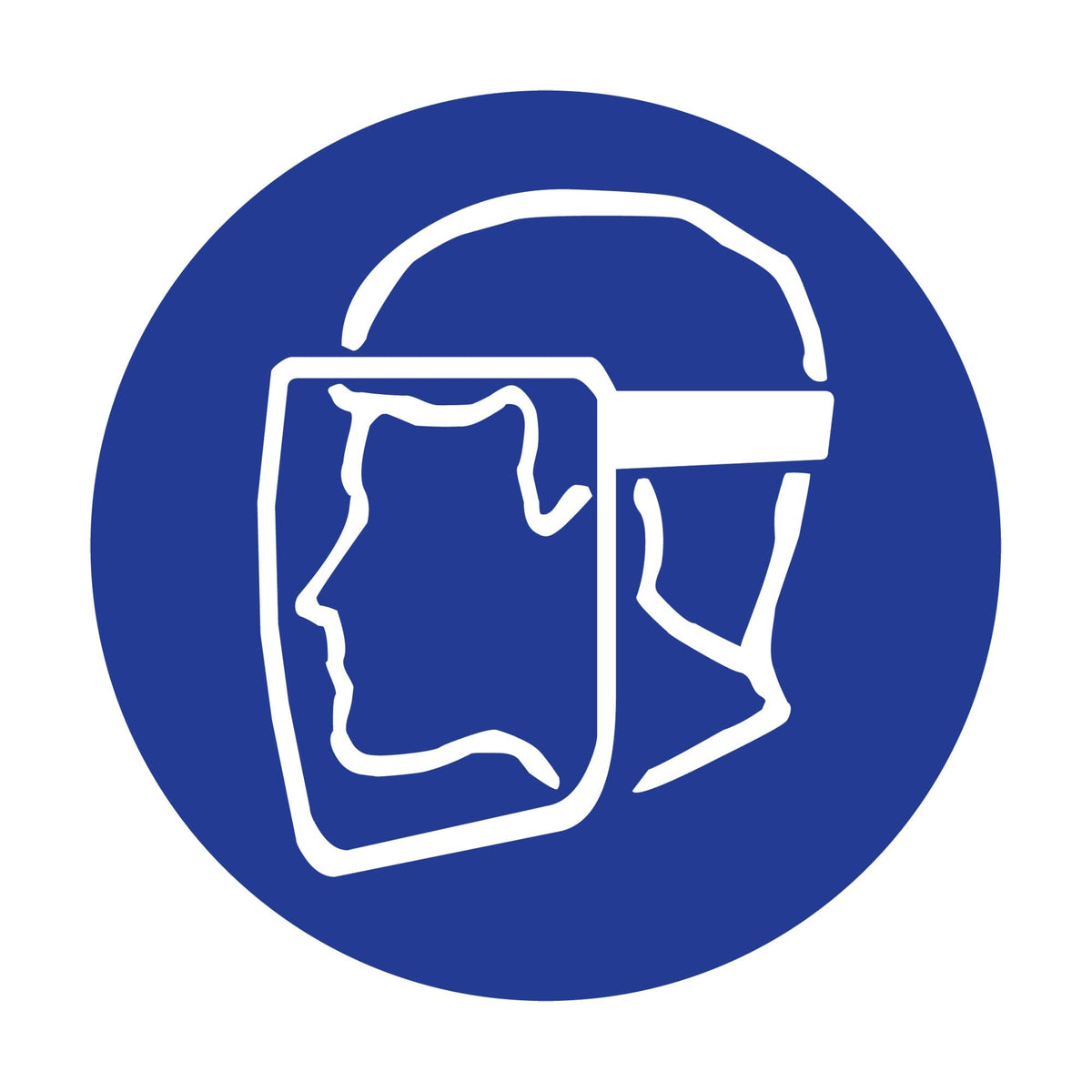 Right to Know Pictogram Labels - Face Shield, Vinyl, Sheet, 1" L x 1-1/8" W