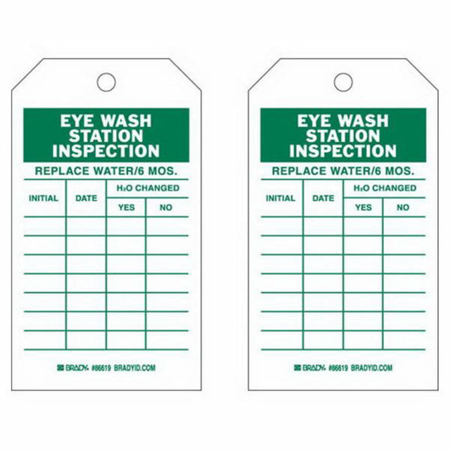 Inspection Record Tags, Polyester, 4" W x 7" H, English