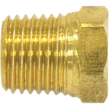 Pipe Plug (Hex Head), 3/8" Dia., Brass
