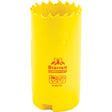 Bi-Metal Holesaw - 1-1/4", 1-1/4", 2" Depth of Cut, Bi-Metal