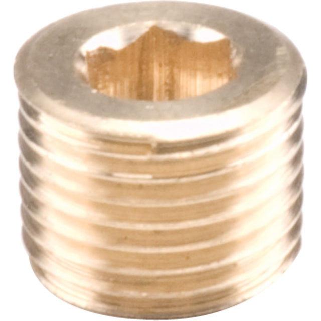 Pipe Plugs - Countersunk Hex, 3/4"