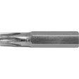 Teeny Turner™ Multi-Bit Screwdriver -Replacement Bit, Torx, 5, 3/16" Drive