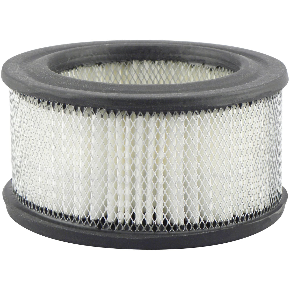 PA1712 Air Element