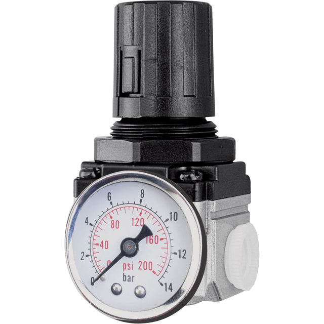 Air Regulator (Gauge Included), 1/2" NPT, 220 PSI Max. PSI, Modular