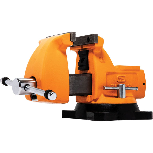 Mechanic's Bench Vise with Anvil, 4" Jaw Width